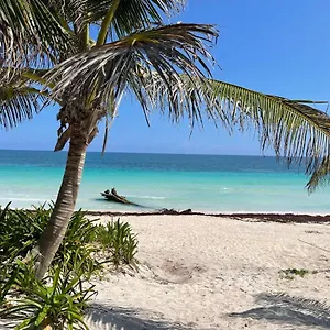 Casa Phoenix ***** Tulum Pueblo