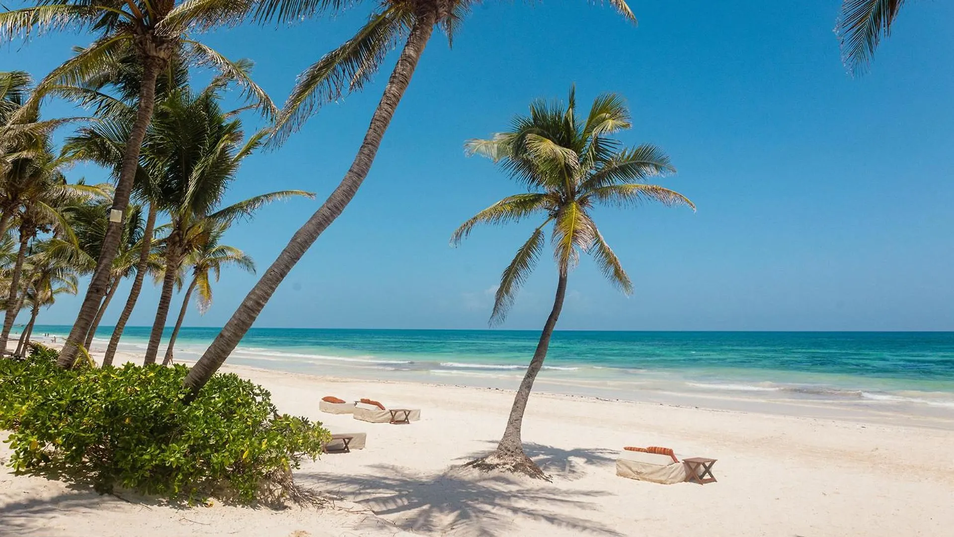 *****  The Beach Tulum Hotel Messico